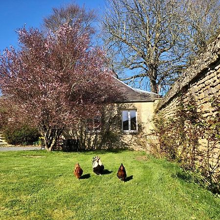 Les Gites De La Mare Saint-Manvieu-Norrey Exterior foto